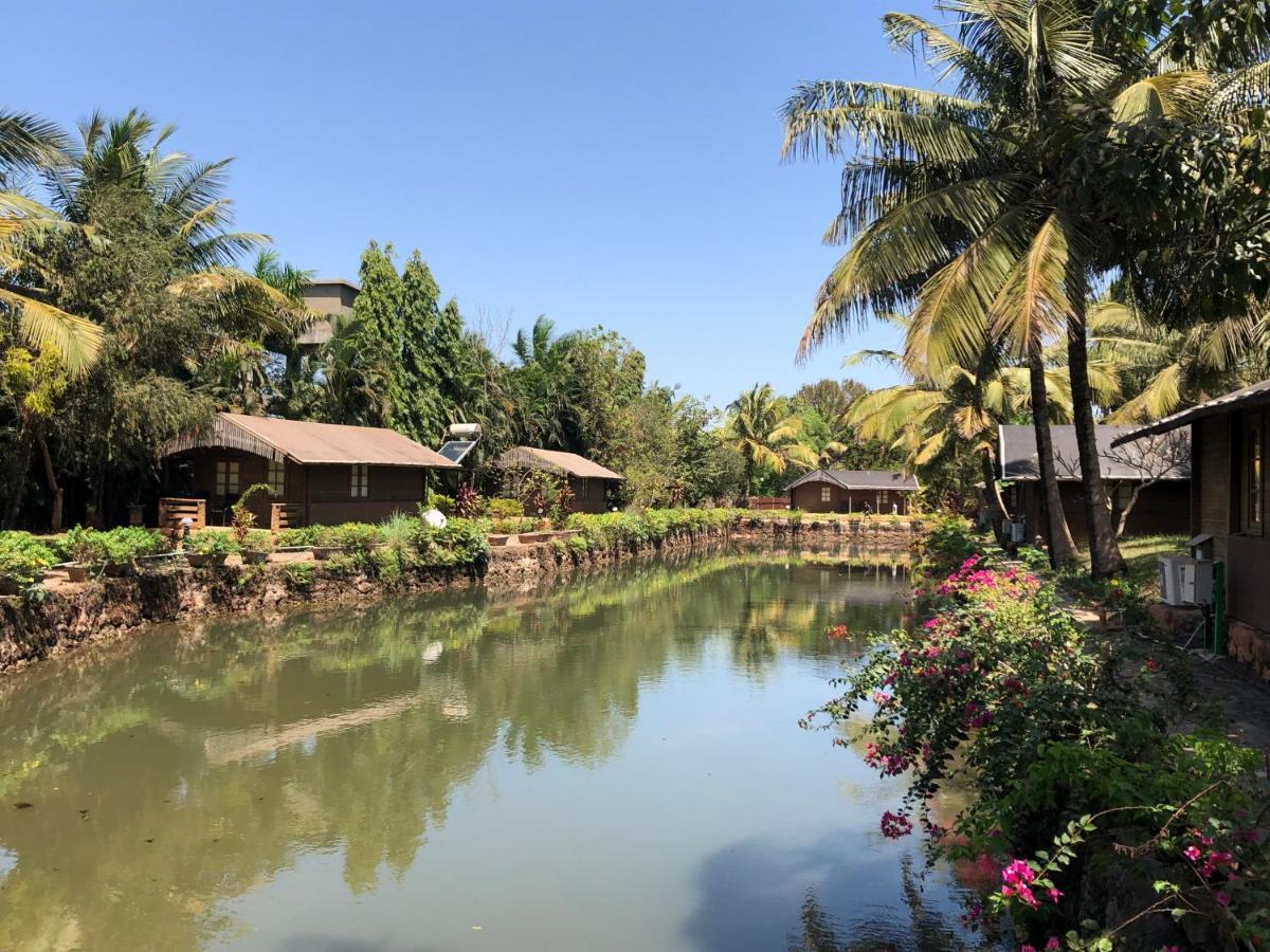 Resort Primo Bom Terra 3*