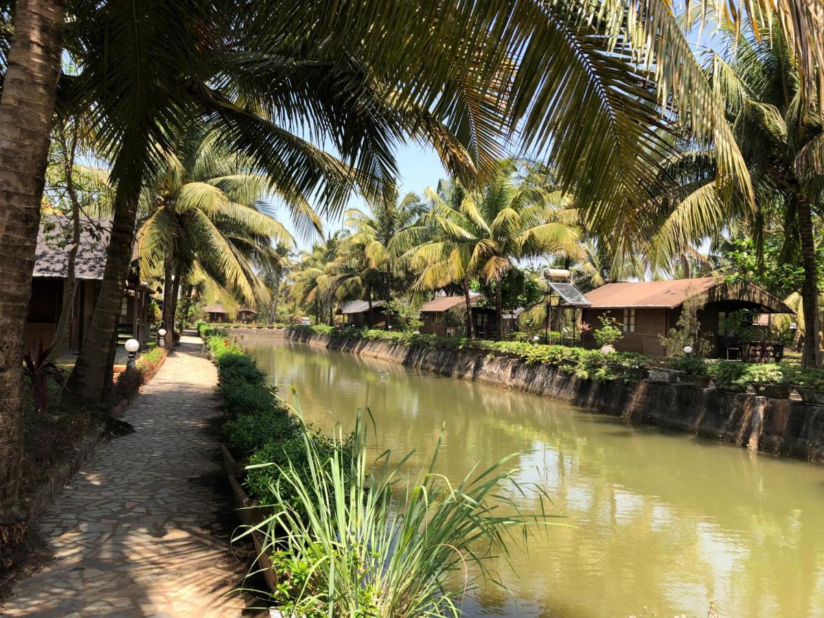Primo Bom Terra Resort Baga